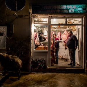 A sheep stands outside a butcher shop