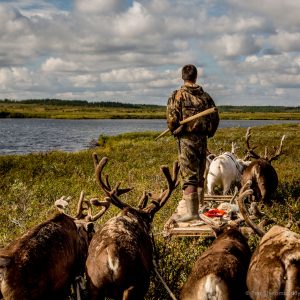 21 yo Nikolay Yadne is driving a reindeer team through tundra near the family herding camp on the left bank of Yenisey river in West Siberia