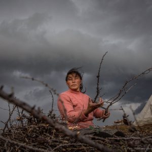 Elvira Yadne is preparing firewood in the family herding camp on the left bank of Yenisey river in West Siberia