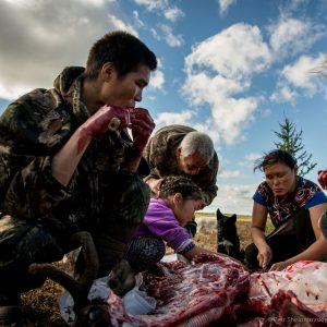 Yadne family members gather around slaughtered rendeer to enjoy fresh meet and blood in the family herding camp on the left bank of Yenisey river in West Siberia